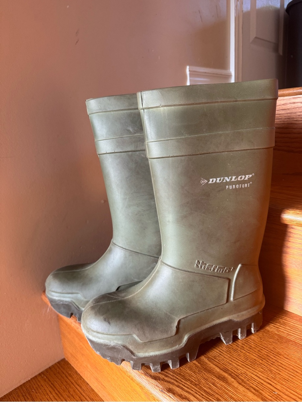 Steel toe Dunlops